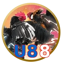 U88
